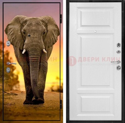 Металлическая дверь с фотопечатью слона ДФ-30 в Ногинске