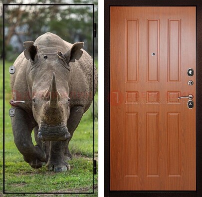 Металлическая дверь с фотопечатью носорога ДФ-31 в Ногинске
