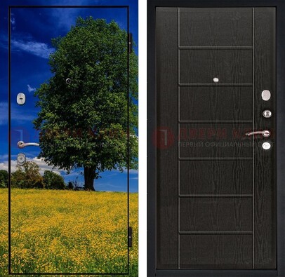 Железная дверь с фотопечатью дерева в поле ДФ-36 в Ногинске