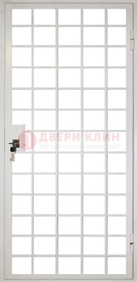 Белая металлическая решетчатая дверь ДР-2 в Ногинске