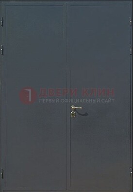 Двухстворчатая техническая дверь ДТ-5 в Ногинске